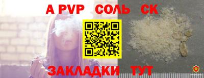 гашик Донской