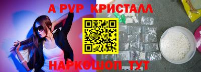 спиды Дубна