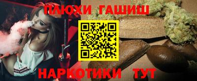 гашик Донской